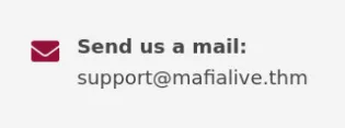 support email on the homepage