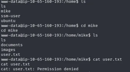 user.txt not readable as www-data