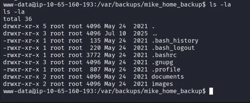 hidden files in the backup directory