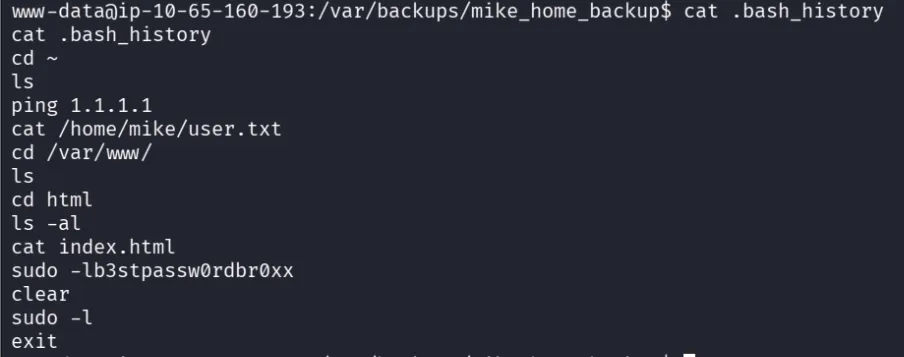 password in .bash_history