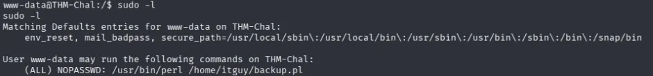 sudo -l output