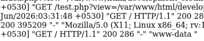 whoami output — www-data