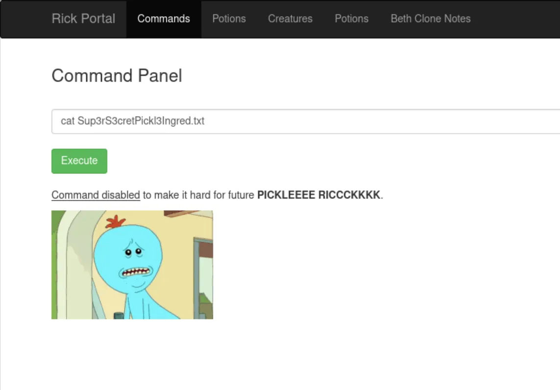 cat is blocked on the command panel