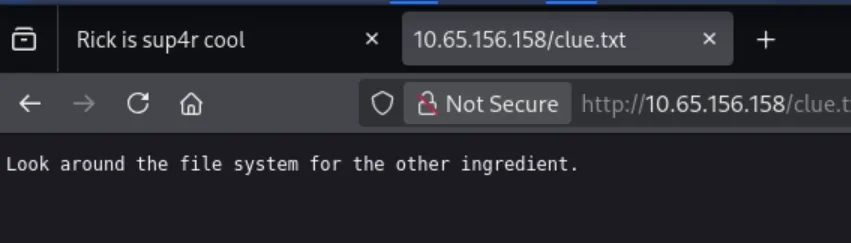 clue.txt hinting to keep searching the filesystem