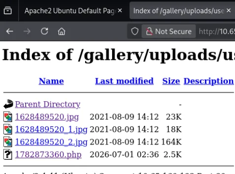 uploaded file in the directory tree