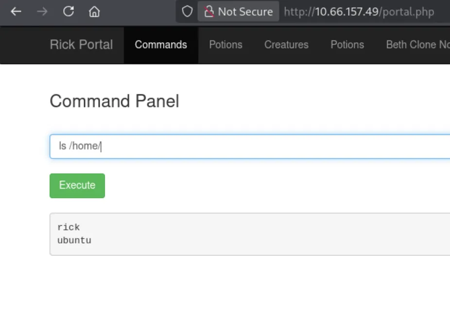 Listing the /home/ directory